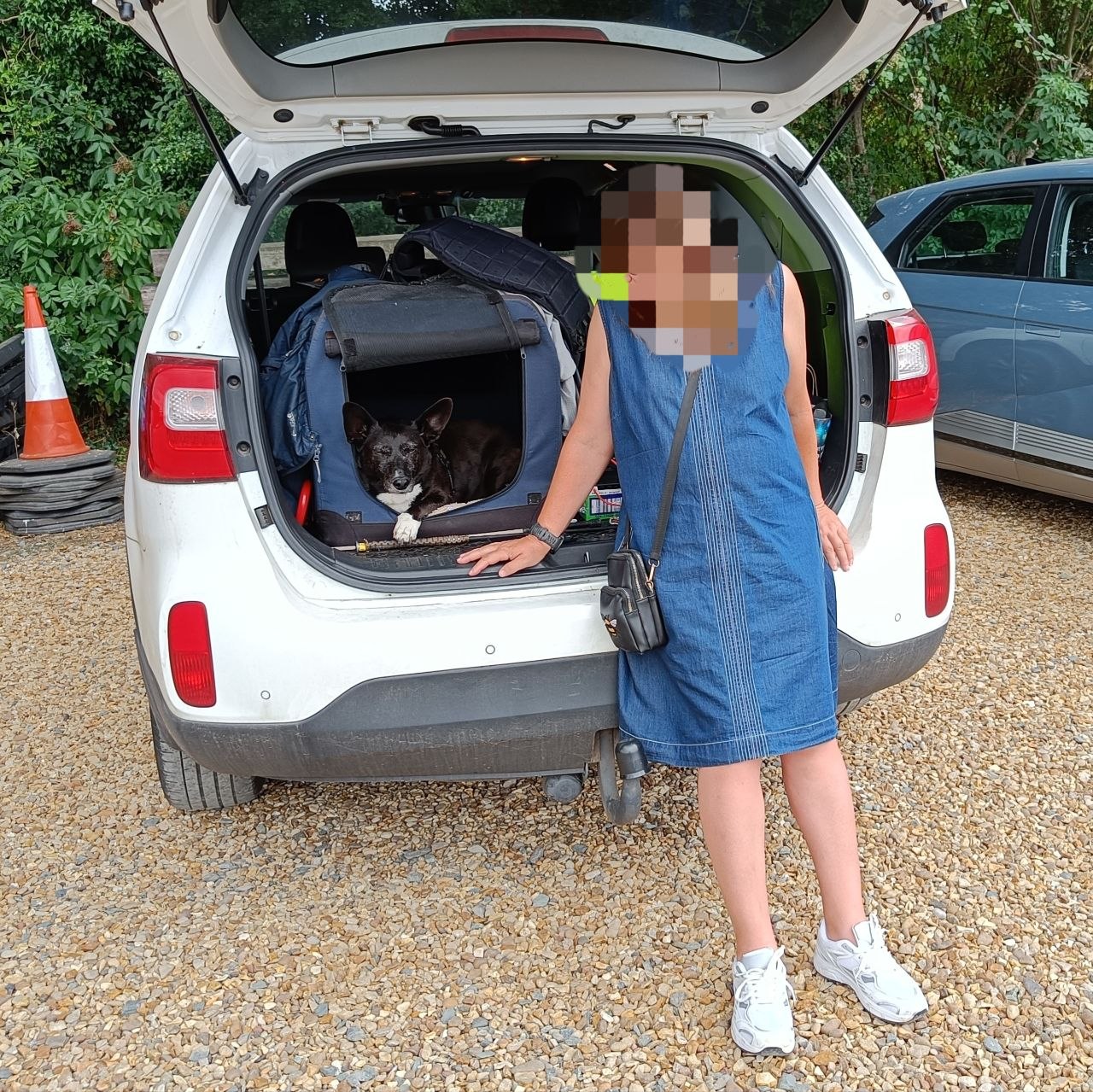 Harley in the carrier in the car boot