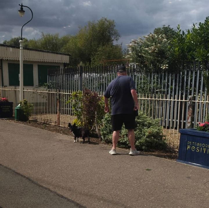 Harley on a lead at the railway station