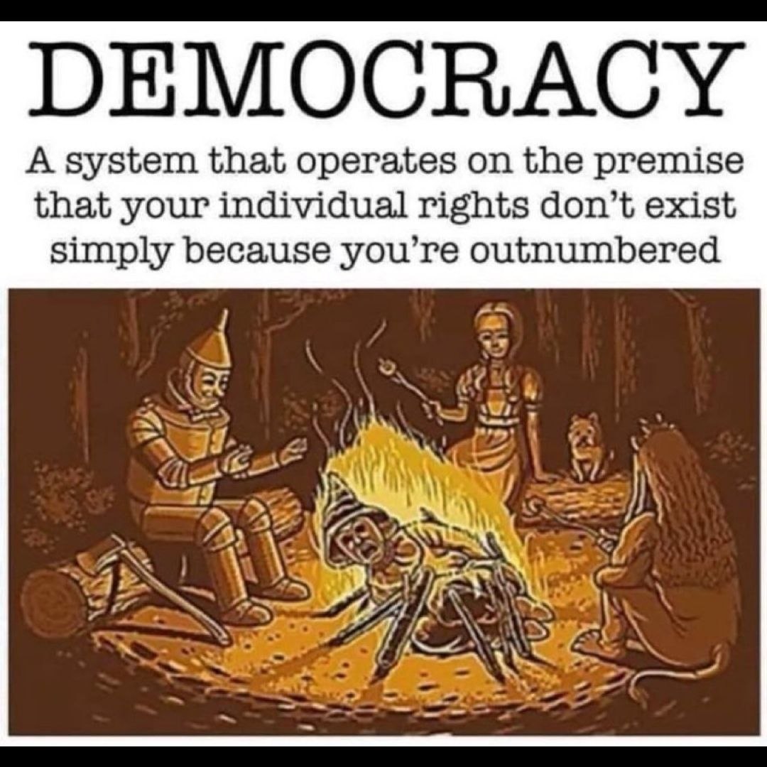 Democracy — A system that operates on the premise that your individual rights don't exist simply because you're outnumbered
