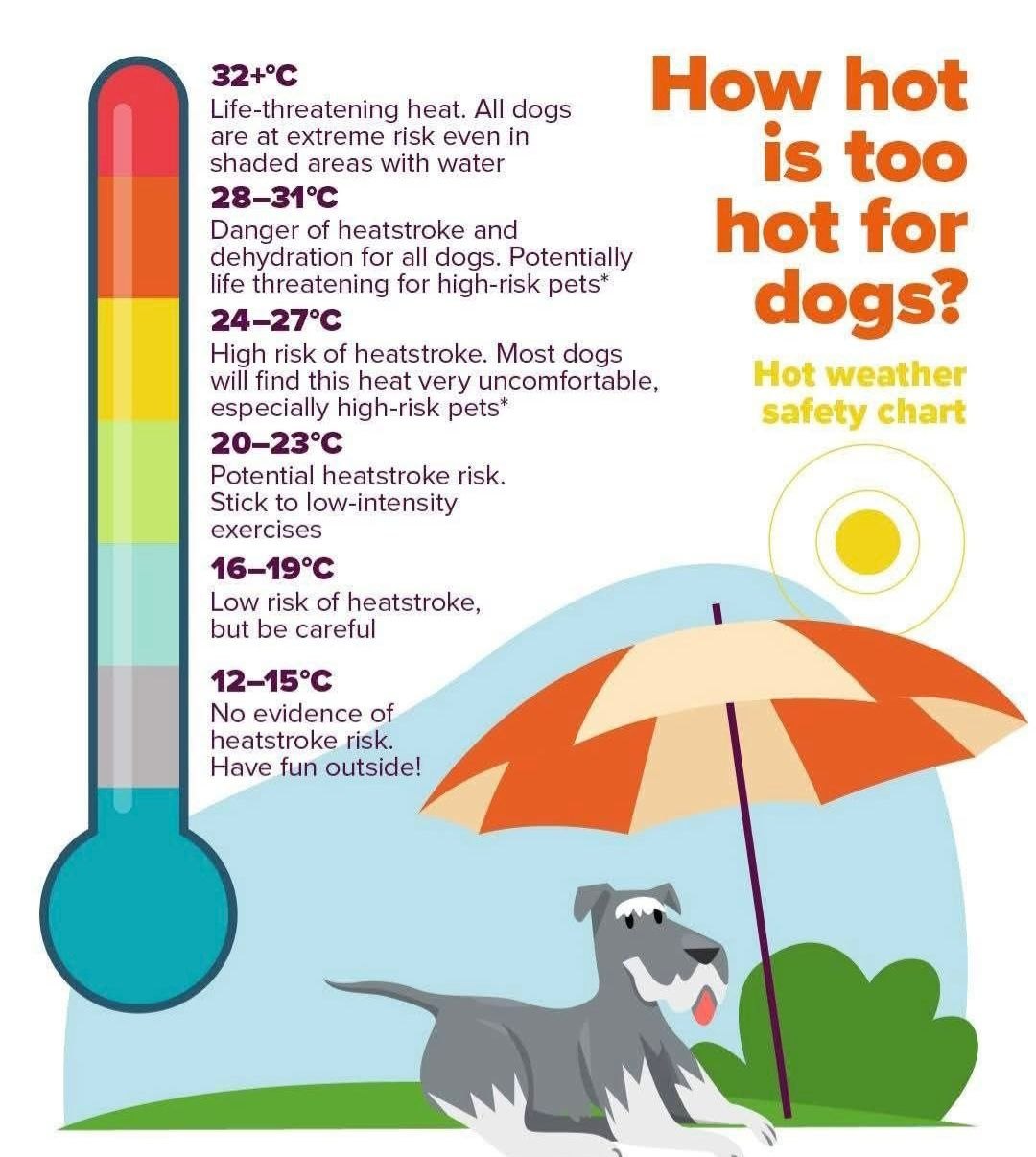 Dog-friendly thermometer showing safe to life-threatening temperature zones